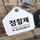 화이트파트너스