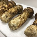 보광약업사 이미지