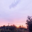 아포가스충전소 이미지