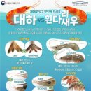 [천안 두정동 또봅새우/신방동 산오징어 클럽 후기] 먹는거에 비해 뼉다구인 수준인 9월_zip_