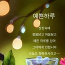 손안에 작은 꽃밭 이미지