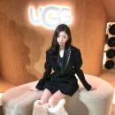 데일리브라운 이미지