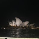 파이키앤컴퍼니(주) | [호주 시드니] 7박 9일 경비 코스 비오는날만 구경하다 온 사람의 찐 후기