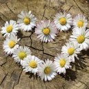 민행리더스 행정사사무소 이미지