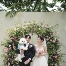 보성축사 | 보스코 본식스냅 웨딩, 반려견과 함께하는 야외결혼식 후기