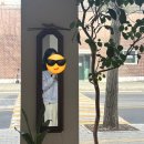 멍뭉이네 | 연남동 귀여운 멍뭉이가 있는 감성카페 추천 / 마크사이드 후기