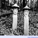 서정공원(서정문화공원) 이미지