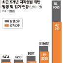 조항 이미지