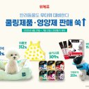 반려담 이미지