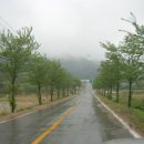 샘재로 2 이미지