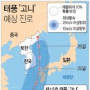 태풍 '고니' 영향..남부지방 최고 300mm 폭우 예상(종합) 이미지