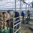 해남보호관찰소 이미지