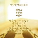 파출사랑 이미지