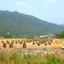 달창저수지 이미지