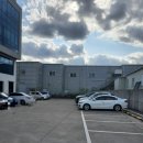 크로커다일제주 이미지