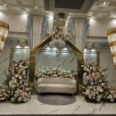 터틀하우스 이미지