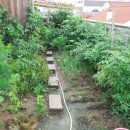 화실농장 이미지