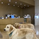 뭉스벨리 이미지