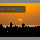 송가네 바다별장 이미지