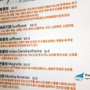 도금단지주유소 | 눈으로 보고, 몸으로 즐긴 amazing LEXUS HYBRID (LS 600hL, GS 450h, RX 450h, 신형 is 250, 렉서스...