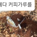 (주)환경21 이미지