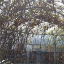 솔뫼농장 이미지