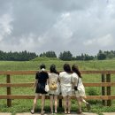 숲에오름협동조합 | 2507 제주여행 3일차/성이시돌목장,궷물오름,기념품 후기