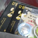 감동피자현리점 이미지