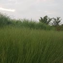 을숙도자전거문화체험협동조합 이미지