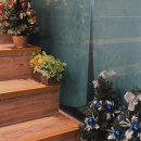 마포갈비 | [성남] 서현역&amp;율동 공원 연말 모임하기 좋은 갈비 찐맛집 - 마포갈비 후기(메뉴, 주차 등)