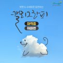 [국비지원]캘리그라피 입문과정 | [공지] 돈되는 취미! 국비지원 캘리그라피 자격증 추천