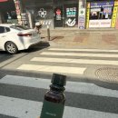 단관초교길 | 위드나인