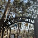 오도암 제1주차장 | 대구 군위 팔공산 오도암 등산코스 후기