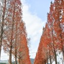 예산-45 | 내돈내산후기 스플라스리솜 예산여행숙소추천