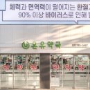 현대1번약국 이미지