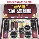 (주)대은바이오 이미지