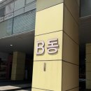 두피 스케일링부터 집중케어까지 ㅣ 일산두피 모케어 후기