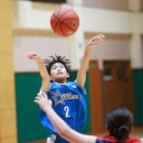 강서초교 이미지