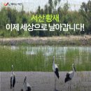 서산버드랜드 전망대 네이버블로그