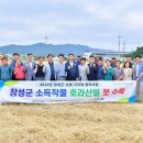 장성수퍼 이미지