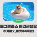 멍팰리스 | 강아지추가비 및 제한 없는 당진 도그팰리스 애견글램핑