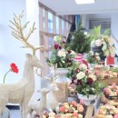 경상대학교 | 진주 다과 케이터링 진주 경상대학교 행사 컨퍼런스 케이터링 파티숲 후기