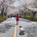 빈애 이미지