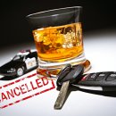 정평행정사사무소 이미지