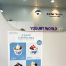 요거트월드 별내점