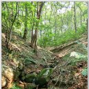 갈맷길(7코스) 이미지