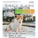 이에스피부네일