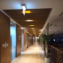 복드림컨설팅 - 고양시 일산동구 식사로 38 | 온즈드롬 명동 26년 하반기 견적 공유! 단 하나뿐인 결혼식이 가능한 서울 밝은 웨딩홀 추천