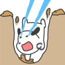 용해장 이미지