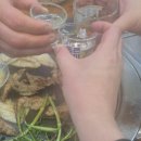 의창구 ⓓ-18 | 봉곡동 맛집 맛내음왕소금구이 육즙 가득한 닭목살에 미나리 조합 솔직후기